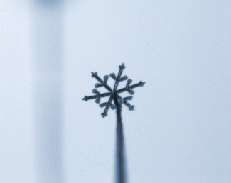 Figure 3 : vidéo de la croissance d’un cristal de glace contrôlée en 