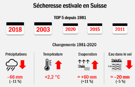 Figure 4. Sécheresse estivale en Suisse. En haut, les cinq semestres d'été (d’avril à septembre) les plus secs depuis 1981. En bas, modifications des précipitations totales, de la température, de l'évaporation et de l'eau dans le sol (mètre supérieur de sol) pour la période 1981-2020.