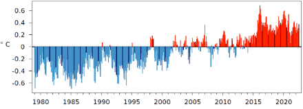 Figure 2. Anomalie mensuelle de la température moyenne mondiale par rapport à la norme 1991-2020, de janvier 1979 à juillet 2022. Les barres en couleur foncée représentent les mois de juillet. Source : Copernicus