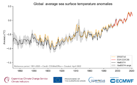 Fig. 6. Anomalie de la température moyenne annuelle de la mer à l'échelle mondiale (°C), par rapport à la période de référence 1991-2020.