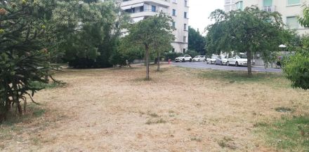 Figure 3 : Dans certaines régions du Nord des Alpes, la sécheresse commence à être de plus en plus visible, par exemple dans un parc en ville de Genève. Photo : M. Schwander