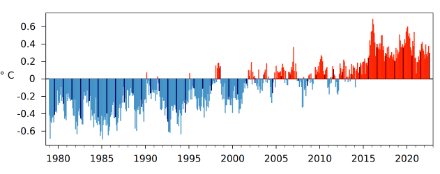 Fig. 2 : Anomalie mensuelle de la température moyenne mondiale de janvier 1979 à août 2022 par rapport à la norme 1991-2020. Les barres noires indiquent les mois d'août.