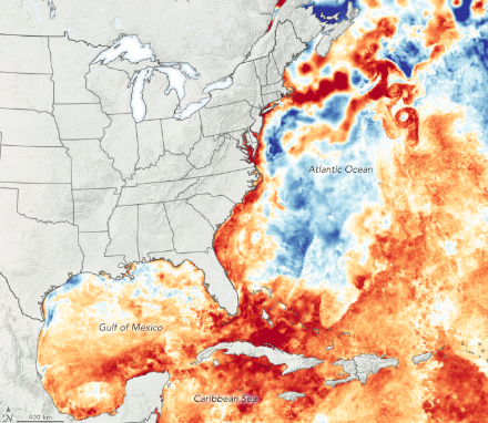 Anomalies de température de la surface de la mer le 14 juillet 2020, indiquant l'écart à la température moyenne à long terme (2003-2014) ce même jour.