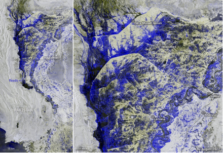 Images prises depuis l'espace par Copernicus Sentinel-1 le 30 août. La partie gauche de l'image Copernicus Sentinel-1 montre une vue large de la zone touchée et l'image de droite fait un zoom sur la zone située entre Dera Murad Jamali (Baloutchistan) et Larkana (Sindh). Le fleuve Indus a débordé, créant ainsi un long lac de plusieurs dizaines de kilomètres de large. Les couleurs bleu à noir montrent où les terres sont submergées.