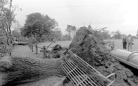 Dégâts de la grande tempête de 1987