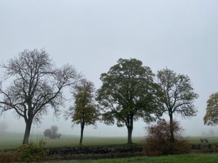 Le brouillard étendu sur le Plateau et dans les vallons du Jura ce mardi matin 25.10.2022, comme par exemple à Fleurier (NE), nous rappellent que nous sommes bien en octobre.