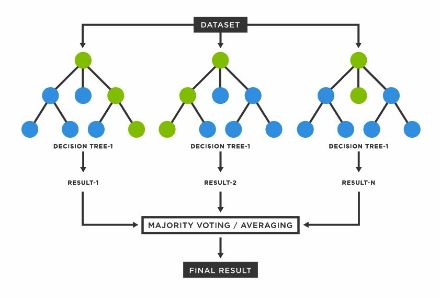 Exemple de "forêt aléatoire" : cet algorithme est appelé « forêt » parce qu'il génère la croissance d'une forêt d'arbres de décision. Les données de ces arbres sont ensuite fusionnées pour garantir les prédictions les plus précises.