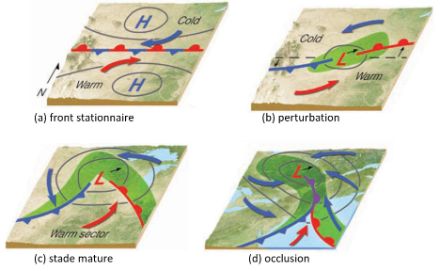 Figure 1 : cycle de vie d’une dépression des moyennes latitudes selon le modèle norvégien, aussi appelée « théorie du front polaire ». Les « H » représentent des centres de haute pression, le « L » le centre de la dépression. Les lignes bleues avec les triangles représentent le front froid, les lignes rouges avec les cercles le front chaud et la ligne violette avec l’alternance triangle-cercle le front occlus. « Cold » représente l’air froid et « warm » l’air chaud. 
