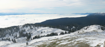 Figure 3 : webcam de La Dôle (Jura vaudois) à 11 h, vue vers le sud, altitude 1677 m.