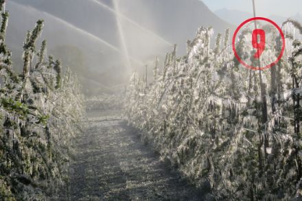 Les arbres fruitiers sont protégés par aspersion lors d’une période de gel intense en Valais, avril 2017. Photo : MétéoSuisse, Didier Ulrich.