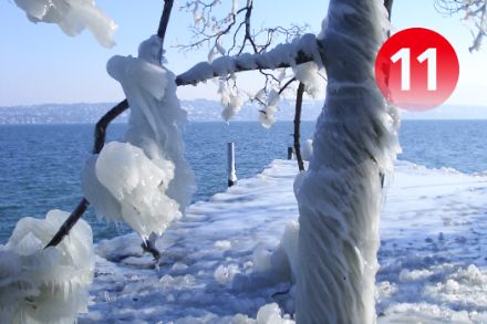 Le vent et les températures négatives ont transformé cet arbre de Versoix en sculpture de glace, janvier 2005. Photo : MétéoSuisse, Anick Haldimann. 