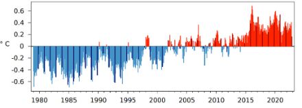 Graphique à colonnes de la température globale mensuelle depuis 1979