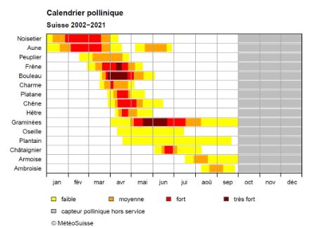 Calendrier pollinique en prévision pour la Suisse