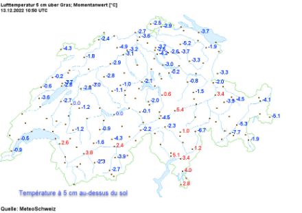 Température à 5 cm du sol 