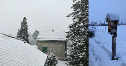 Photos de neige à Bernex et Fully
