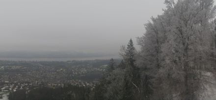 Vue depuis l'Albis sur l'agglomération zurichoise. Le ciel est gris, les arbres au premier plan sont recouverts de givre.