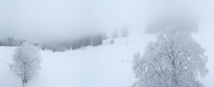 Paysage enneigé avec des arbres couverts de givre. A l'arrière-plan, on distingue du brouillard.