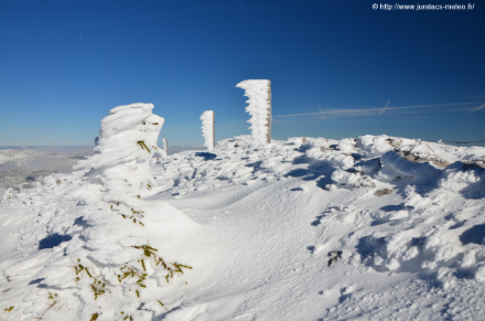 Figure 4 : givrage sur un sapin et des poteaux dans le Jura. 