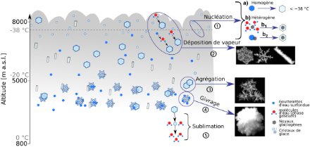 Figure 1 : illustration des principaux processus de microphysique de la neige dans un nuage en phase mixte (c.-à-d. en présence d’eau sous forme gazeuse, liquide et solide). Les altitudes et températures correspondantes (axe vertical) et la localisation des processus sont représentatives en hiver dans les latitudes moyennes, mais ne constituent pas une règle. 