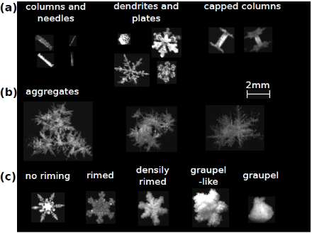 Figure 5 : photographies de flocons de neige illustrant le résultat des processus de déposition de vapeur (a), d’agrégation (b) et de givrage (c). 