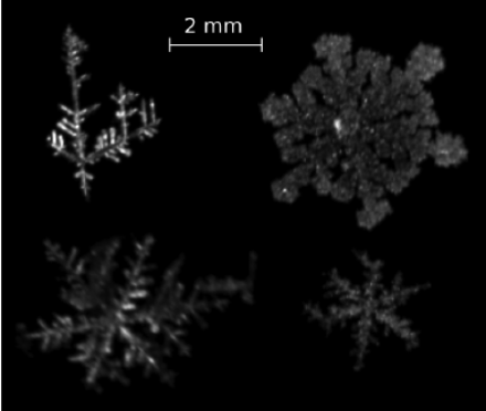 Figure 2 : Photographies de cristaux de glace prises entre février et mars 2018 à Pyeongchang en Corée du Sud. On voit bien la structure hexagonale avec les six « dents » décrites par Descartes, sauf sur le cristal en haut à gauche qui a probablement été « endommagé » par une collision avec un autre cristal durant sa chute.