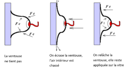 Illustration du principe de la ventouse : la différence de pression générée par le retour de la ventouse à sa position d’origine permet à la pression atmosphérique extérieure de la plaquer contre l’objet.