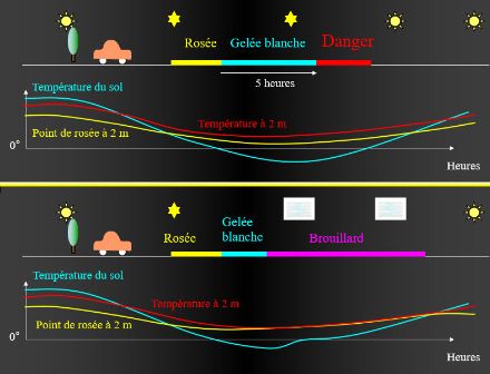 Schéma conceptuel montrant les courbes de températures à 2 m et au sol ainsi que la température du point de rosée pouvant favoriser la formation de gelée blanche. Cette gelée blanche peut s'avérer particulièrement dangereuse lorsque la température de la route reste au moins 1,5°C inférieure à la température du point de rosée durant au moins 5 heures d'affilées. Elle peut alors particulièrement bien adhérer à la chaussée.