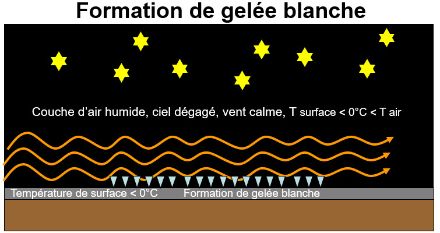 Les conditions favorisant la formation de gelée blanche. 