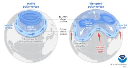 Le schéma de gauche montre un vortex polaire stable. L'air froid au-dessus de l'Arctique reste prisonnier du vortex. Le courant-jet du front polaire est déplacé vers le nord. Le schéma de droite montre un vortex polaire affaibli. Le courant-jet du front polaire ondule et l'air froid peut descendre loin vers le sud.