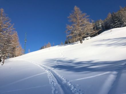 Une trace monte sur une pente poudreuse. 