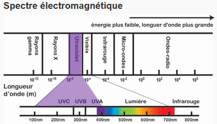 Spectre solaire. Le rayonnement ultraviolet (en mauve ci-dessus) a une longueur d’onde très courte (d’où sa grande énergie) ; il n’est pas visible par l’être humain, mais l’est pas certains animaux. Source : www.canada.ca/fr/sante-canada