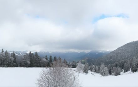 La Robella, Val de Travers, 1224 m, lundi 27 mars, 13h30. On observe 1-10 cm de neige fraîche à la hauteur de la caméra, mais probablement 10-20 cm juste au-dessus