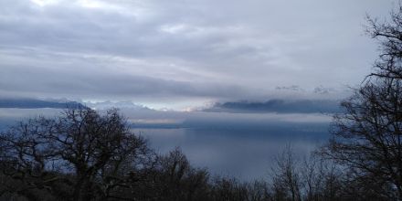 Vue depuis St-Saphorin en direction du Léman, avec en toile de fond le Chablais et les Alpes vaudoises