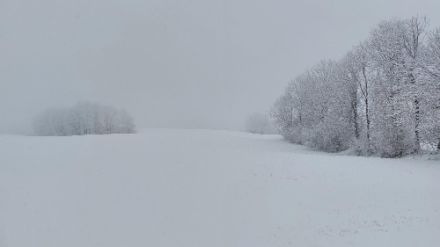 Des chutes de neige ont donné un aspect hivernal au Val de Travers (Les Bayards) le 7 avril 2023.