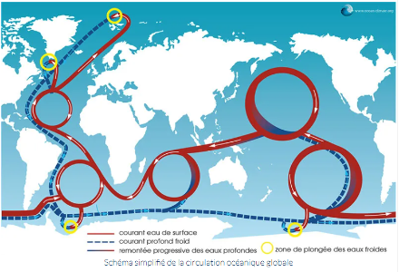 Figure 2 : schéma simplifié de la circulation océanique