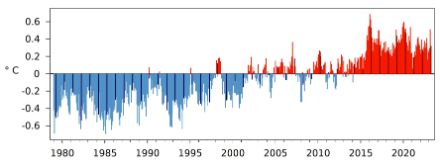 Graphique à barres de la température mensuelle globale.