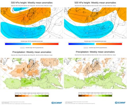 Cartes du géopotentiel moyen de l'anomalie ainsi que de l'anomalie de précipitations prévus pour les semaines du 29 mai au 4 juin et du 5 au 11 juin 2023.