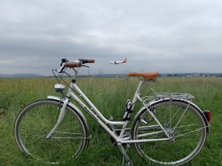 Après le travail, les stagiaires ont eu le temps d'explorer la région : une randonnée sur l'Uetliberg, une excursion aux chutes du Rhin, et ils ont également fait un tour à vélo autour de l'aéroport de Zurich.