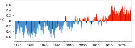 Figure 2. Anomalie de la température moyenne mondiale par rapport à la norme 1991-2020 pour tous les mois depuis 1979. Les mois de mai sont représentés par les barres noires. 