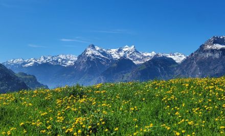 Journée de printemps ensoleillée le 3 mai 2023 en Suisse centrale.