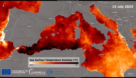 Anomalie de température de surface de la mer (SST) du 13.7.2023
