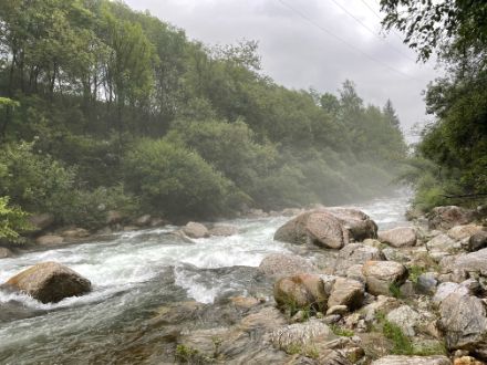 Fig. 2. Condensation de l'humidité de l'air et formation de vapeur au niveau du lit de la rivière. Photo : L. Nisi.