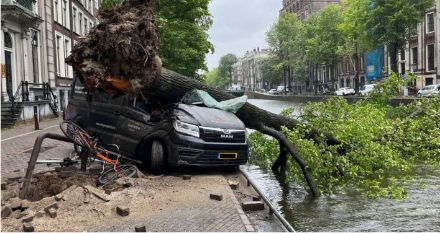 De nombreux arbres ont été déracinés (Amsterdam, Hollande)
