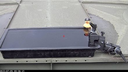 Bassine pour observer les gouttes de pluie.