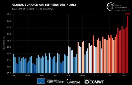 Le graphique montre l'évolution de la température moyenne mondiale pour le mois de juillet de 1940 à 2023. La courbe montre une nette augmentation depuis 1940, passant d'environ 15,6 °C à environ 16,6 °C en moyenne ces dernières années. Le mois de juillet actuel, 2023, atteint une nouvelle valeur record avec près de 17 °C.