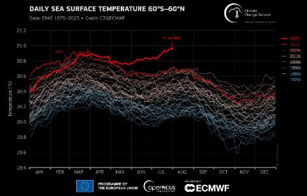 Le graphique montre l'évolution de la température moyenne quotidienne de la surface de la mer entre 60° S et 60° N de latitude pour chaque année depuis 1970. Les séries annuelles sont colorées différemment selon les décennies : les décennies antérieures sont bleutées, les plus récentes d'un rouge faible. L'année actuelle 2023 et l'année record précédente 2016 sont mises en évidence en rouge vif. Les valeurs des dernières semaines jusqu'au 31 juillet 2023 étaient nettement supérieures à l'année record précédente et dépassaient même de peu les valeurs maximales de mars 2016.