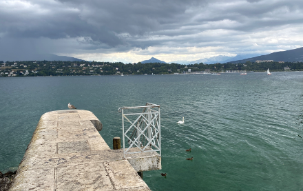 Guère d’autres baigneurs que les canards et les cygnes en ce 1er août 2023 plutôt frais près du port Barton.