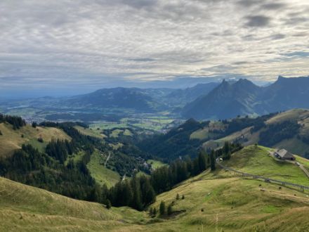 Moléson-sur-Gruyères le 09.08.2023