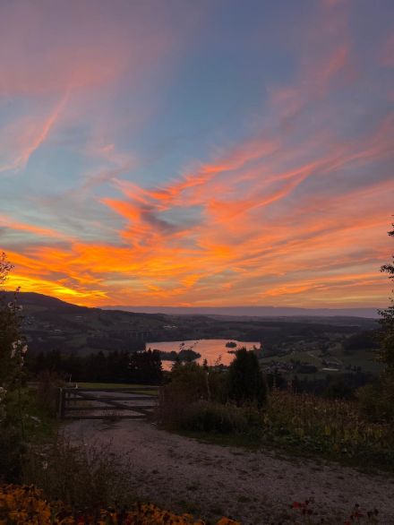 La Roche (FR), 03.09.23, 20h20. Ici, les cirrus apparaissent comme lissés, en raison du fort vent de nord-est présent à cette altitude (10'000 m environ)