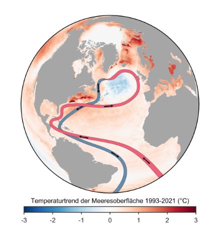 Figure 2 : Tendance observée de la température de surface de la mer de 1993 à 2021 (données Copernicus), avec une illustration simplifiée de la circulation océanique. On constate une tendance au refroidissement dans l'Atlantique Nord. 